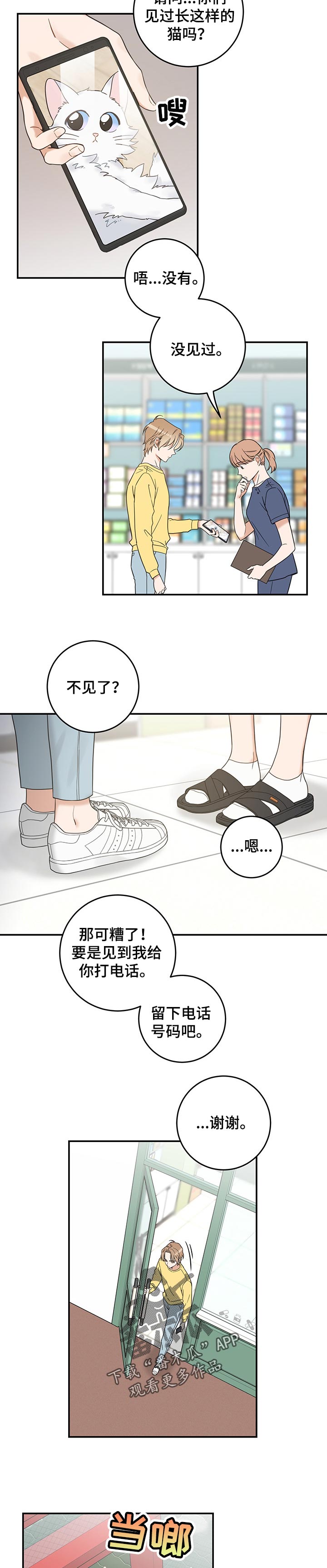 亲爱的喵君漫画,第106章：寻找4图