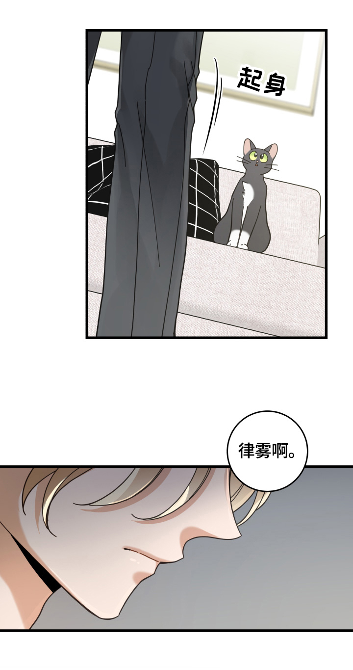 亲爱的喵君漫画,第59章：不同意3图
