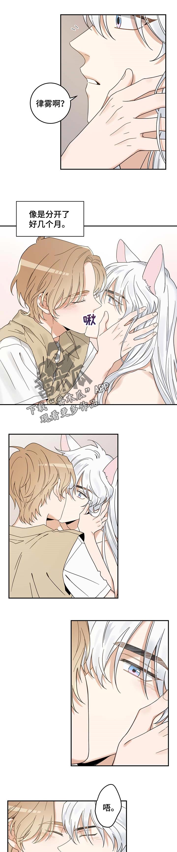 亲爱的喵君漫画,第112章：不要再乱跑了4图