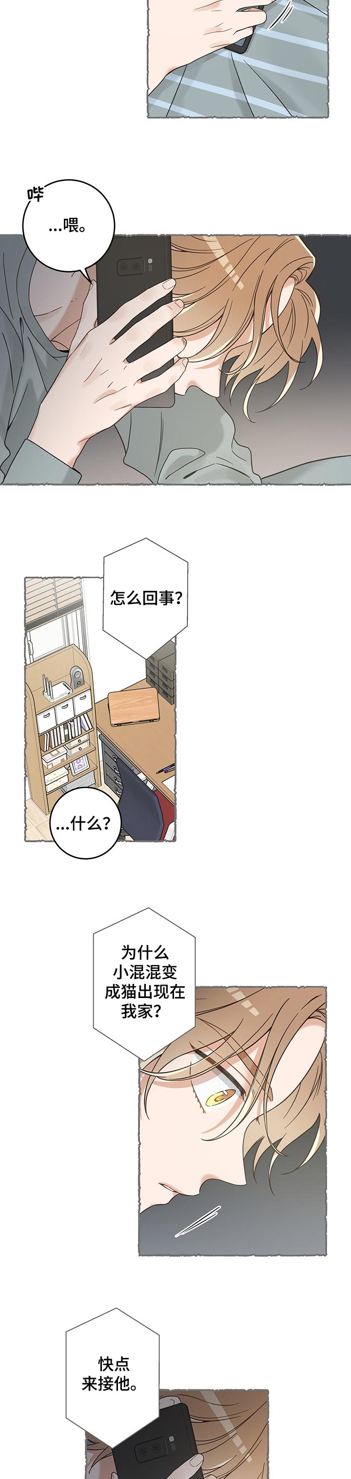 亲爱的喵君漫画,第102章：撒气4图