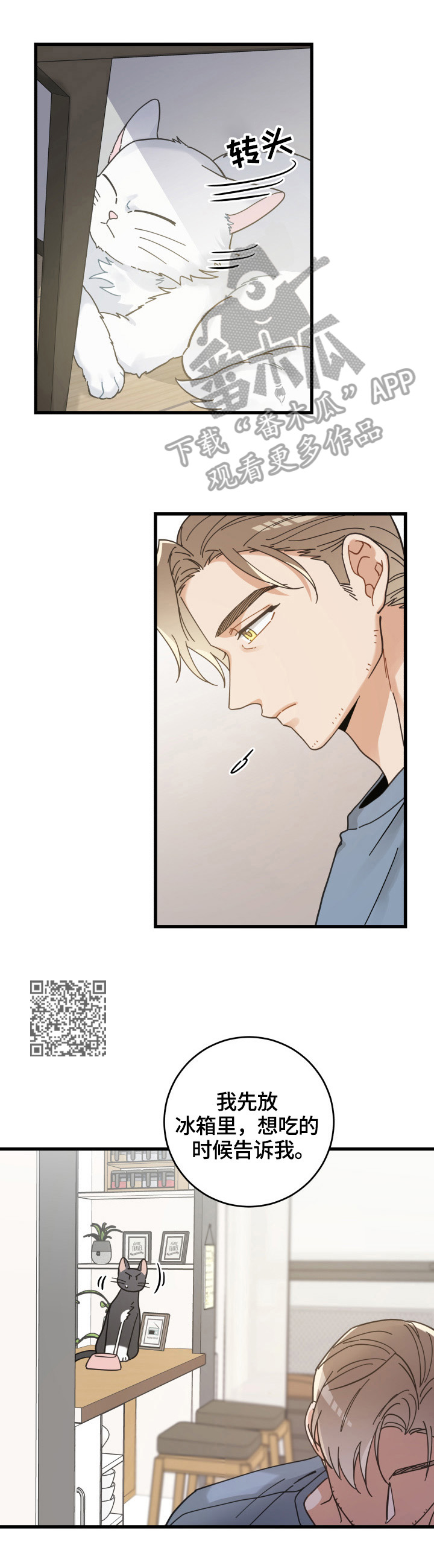 亲爱的喵君漫画,第61章：叫门5图