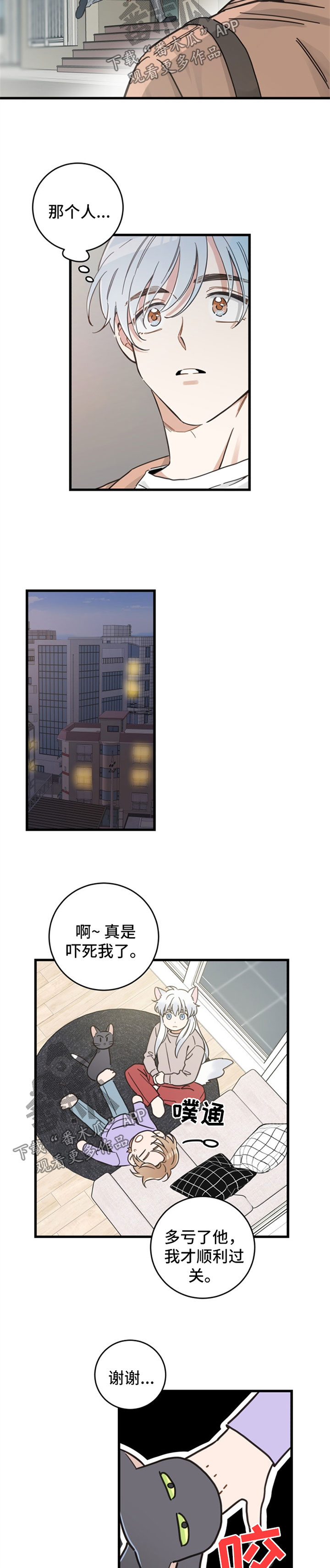 亲爱的喵君漫画,第82章：想要回家3图
