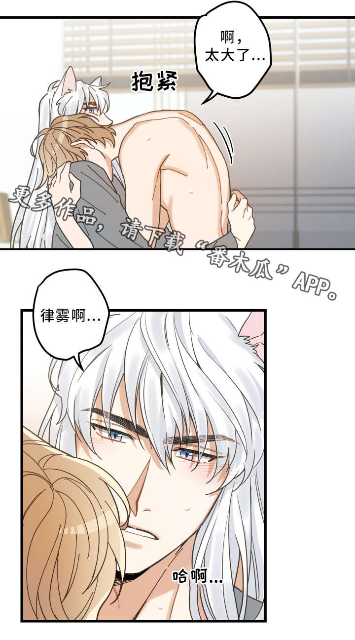 亲爱的喵君漫画,第25章：分享爱3图