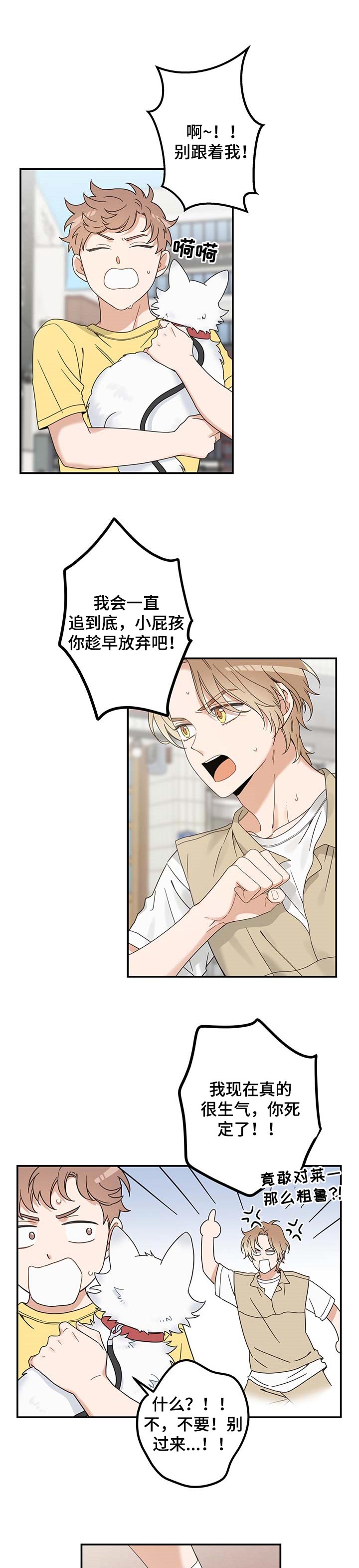 亲爱的喵君漫画,第111章：重逢5图