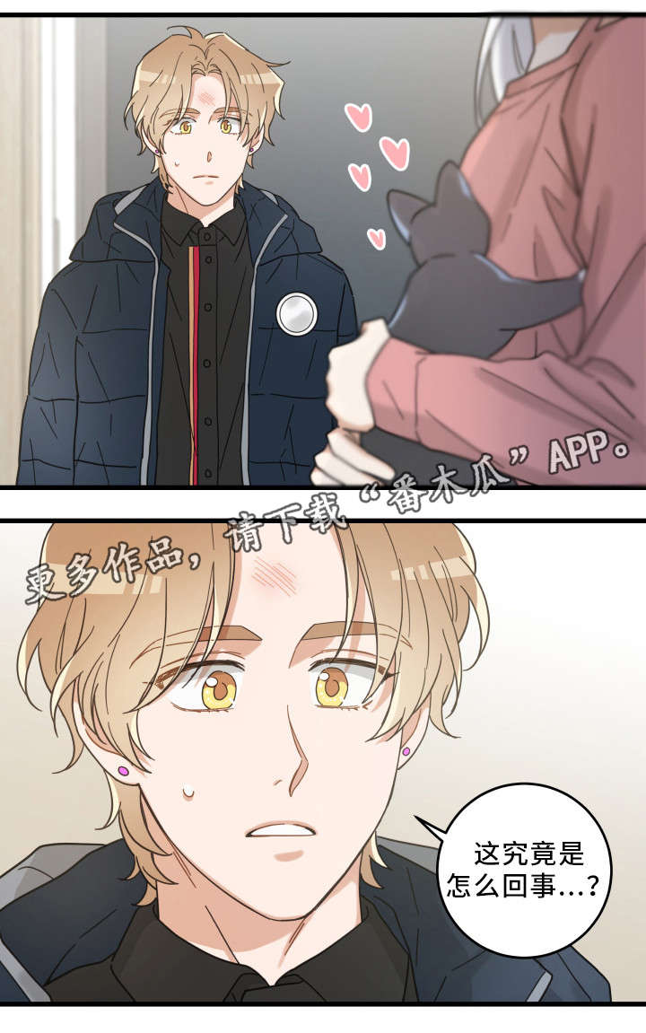 亲爱的喵君漫画,第36章：跟踪3图