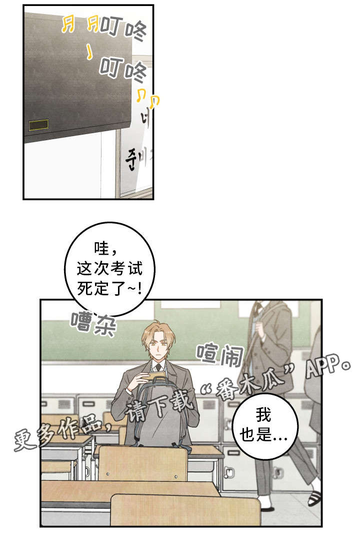 亲爱的喵君漫画,第16章：白猫莱一5图