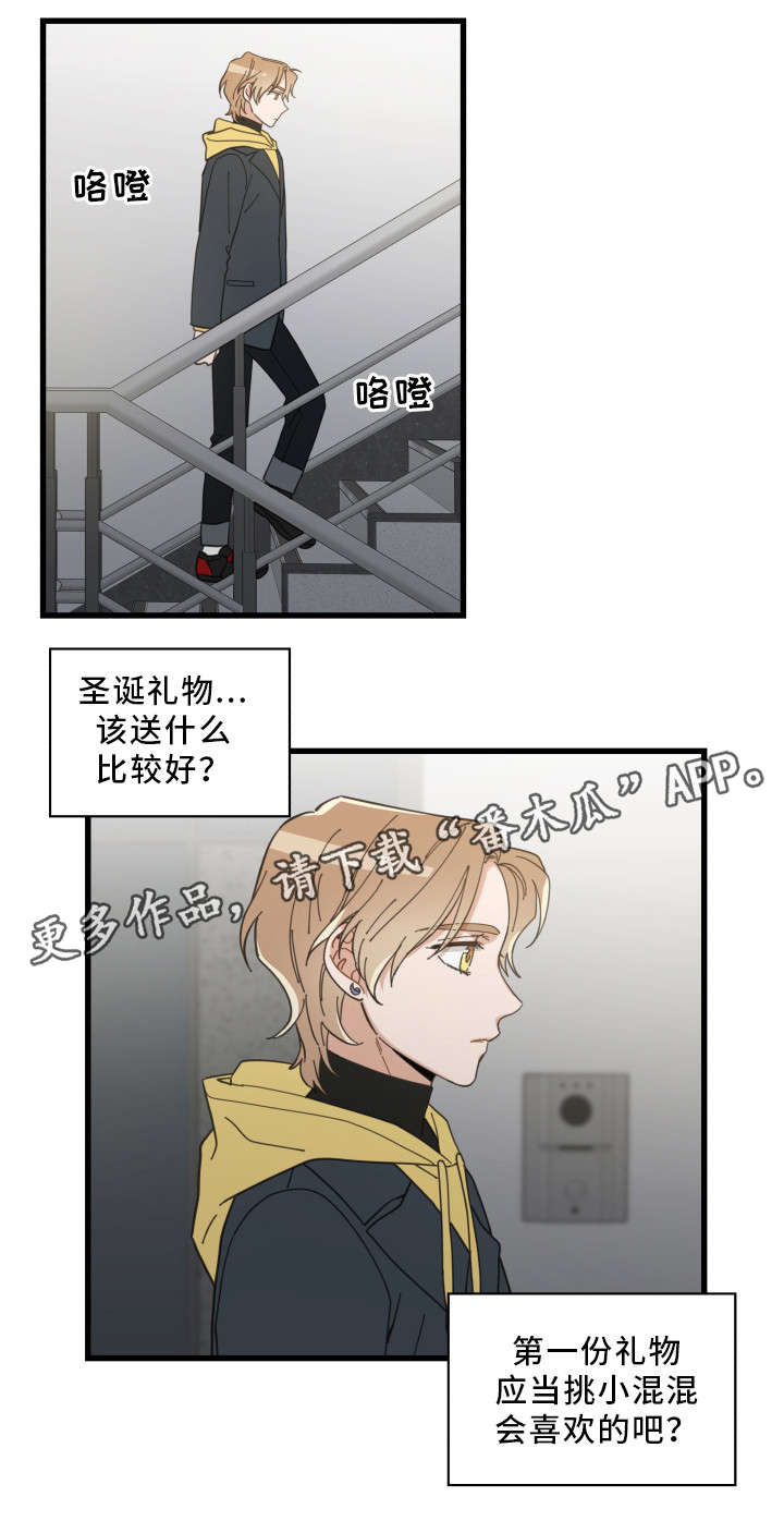 亲爱的喵君漫画,第24章：圣诞前夕5图