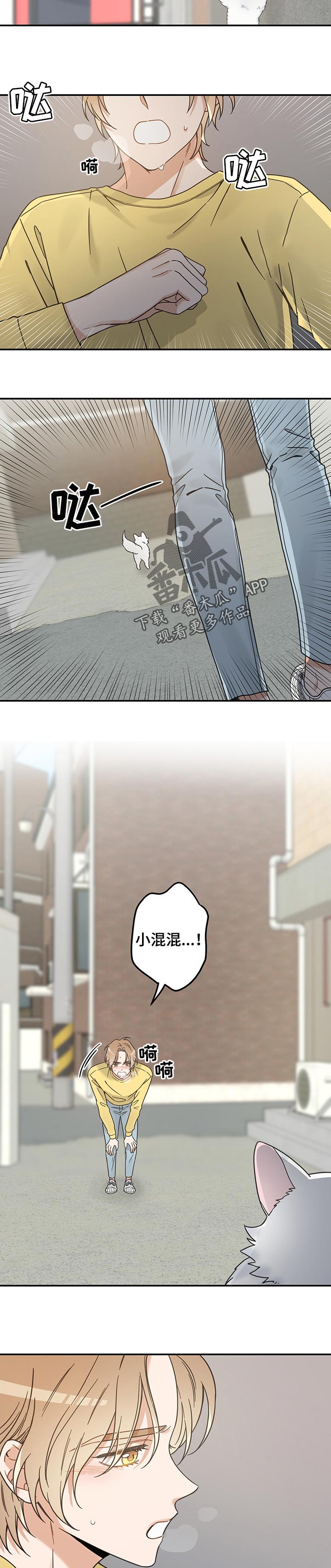 亲爱的喵君漫画,第106章：寻找4图