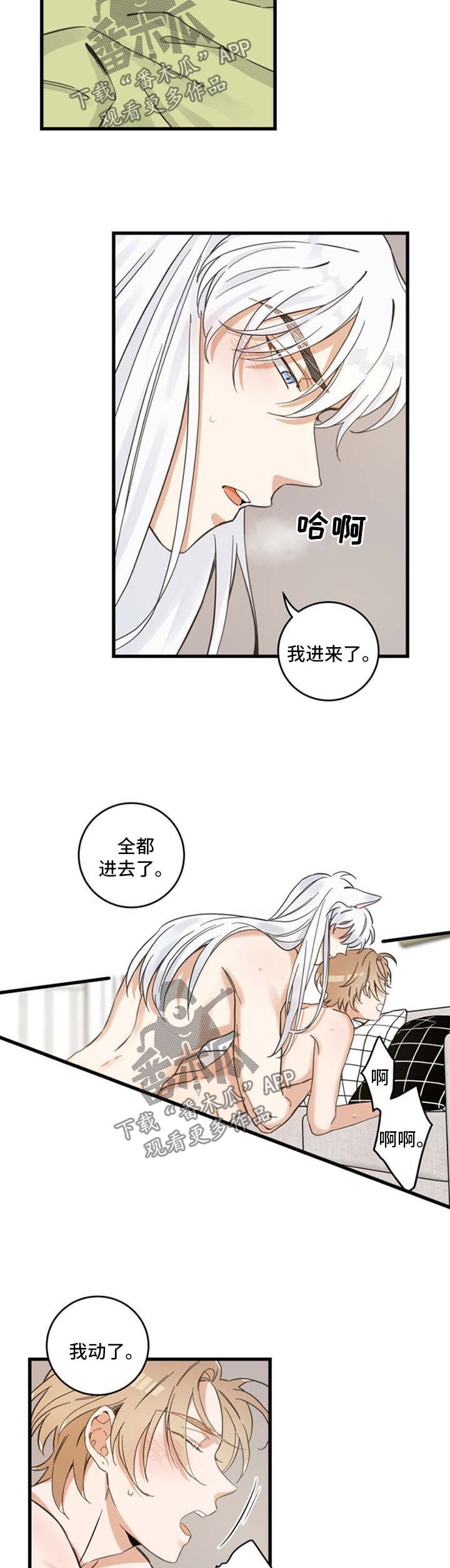 亲爱的喵君漫画,第78章：做你想做的2图