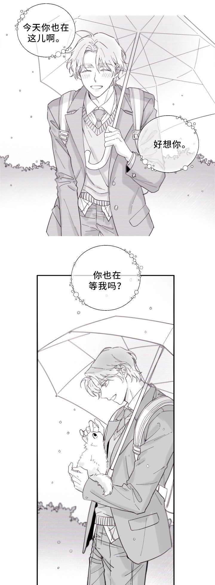 亲爱的喵君漫画,第2章：白猫2图