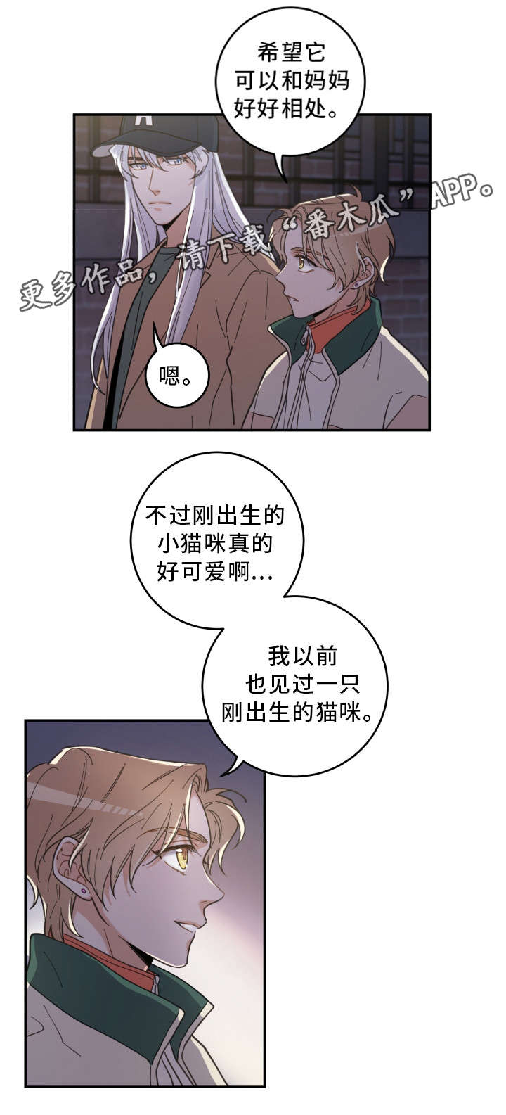 亲爱的喵君漫画,第15章：抓伤1图