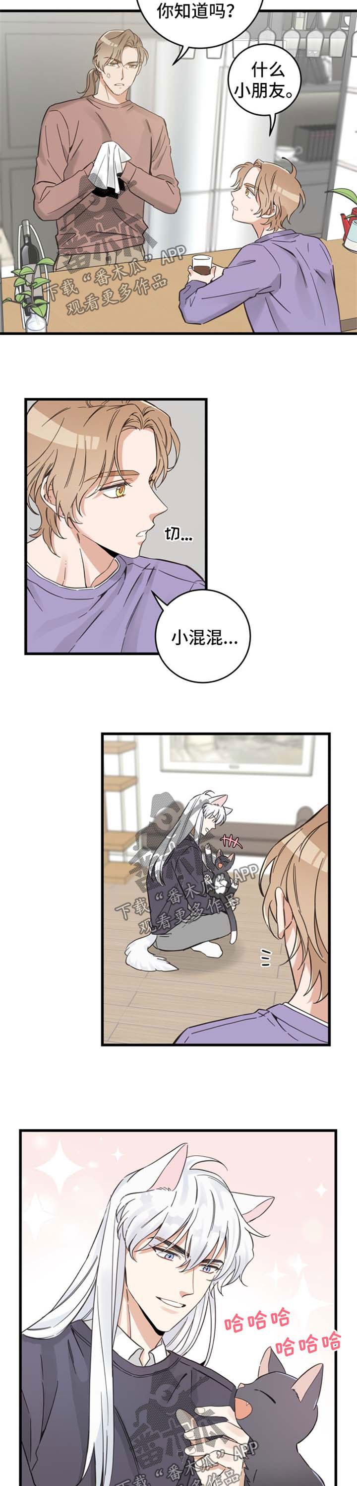 亲爱的喵君漫画,第80章：宠物心得3图