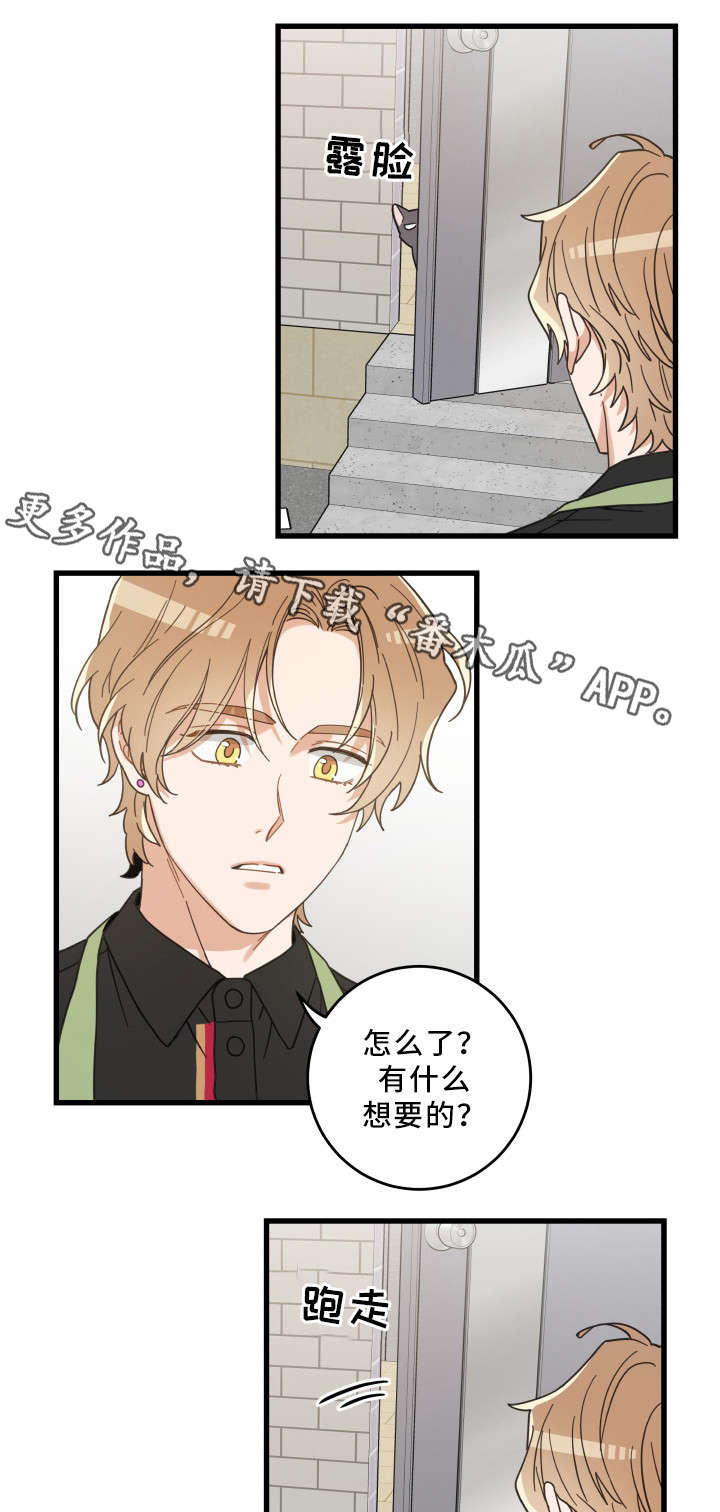 亲爱的喵君漫画,第35章：盯1图