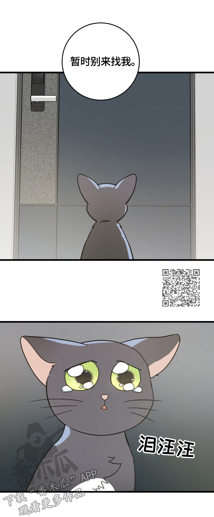 亲爱的喵君漫画,第70章：安慰1图