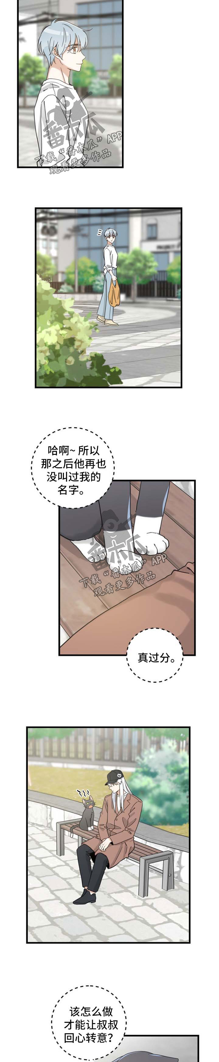 亲爱的喵君漫画,第91章：偶遇2图
