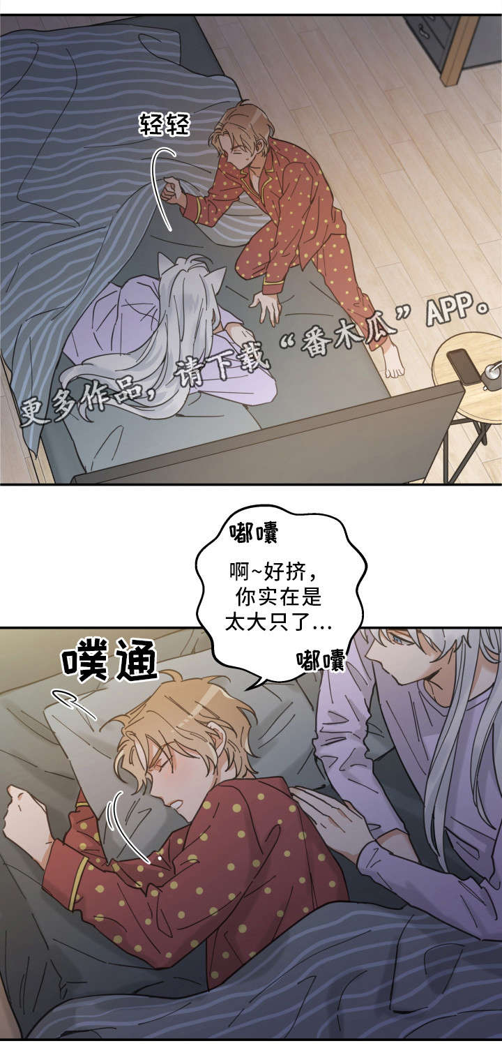 亲爱的喵君漫画,第12章：无事发生5图