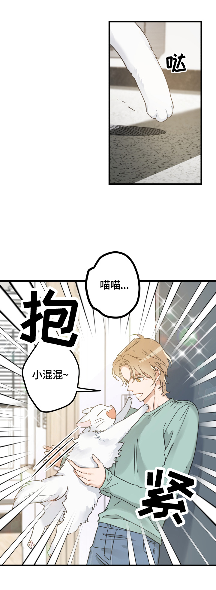 亲爱的喵君漫画,第65章：忍不了3图