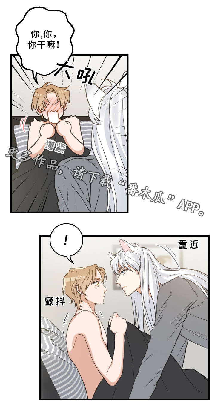 亲爱的喵君漫画,第25章：分享爱2图