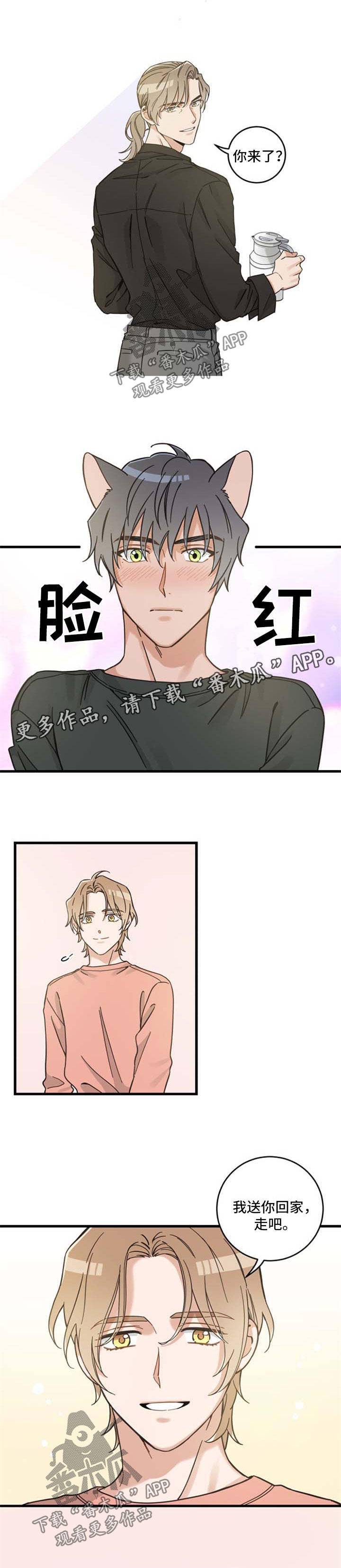 亲爱的喵君漫画,第86章：不同的喜欢2图