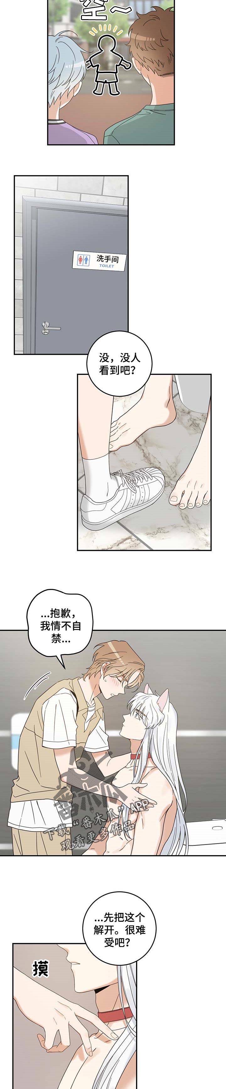 亲爱的喵君漫画,第112章：不要再乱跑了2图