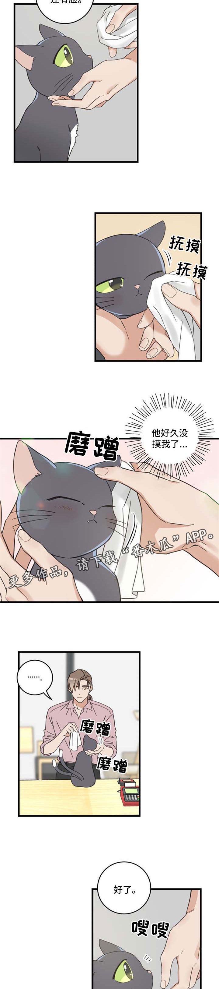 亲爱的喵君漫画,第95章：不行2图