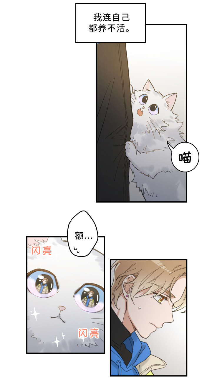 亲爱的喵君漫画,第2章：白猫3图