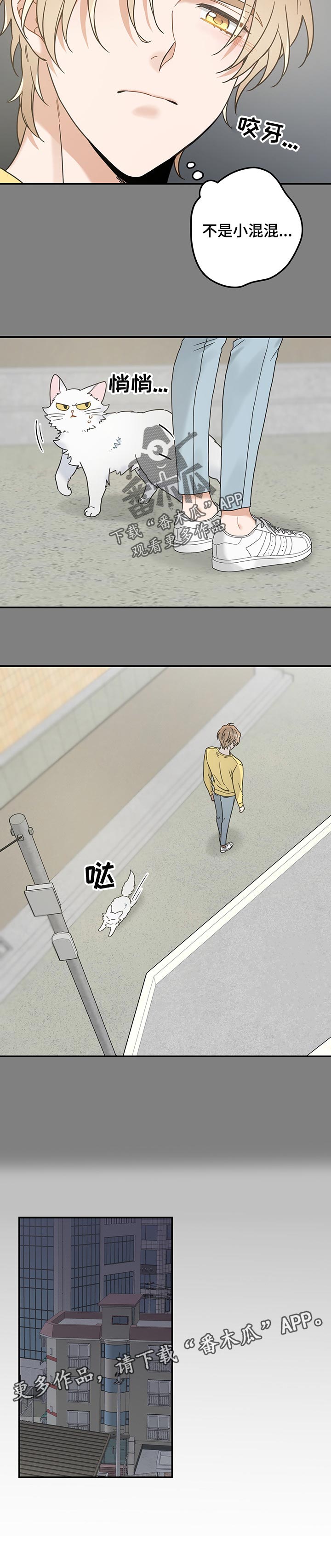 亲爱的喵君漫画,第106章：寻找1图