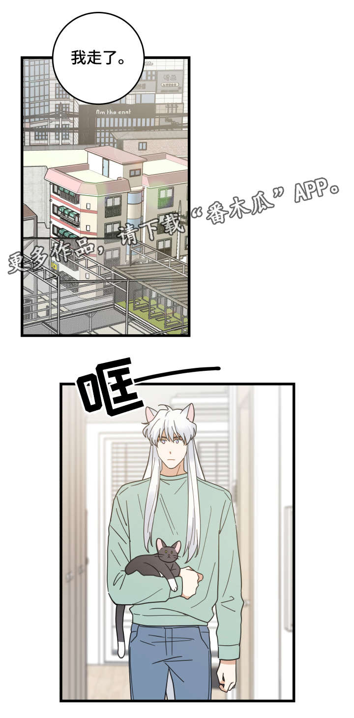 亲爱的喵君漫画,第42章：臭猫2图