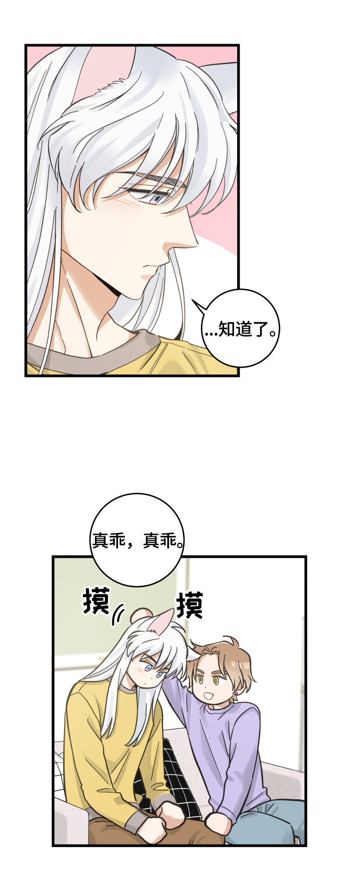 亲爱的喵君漫画,第71章：原谅5图