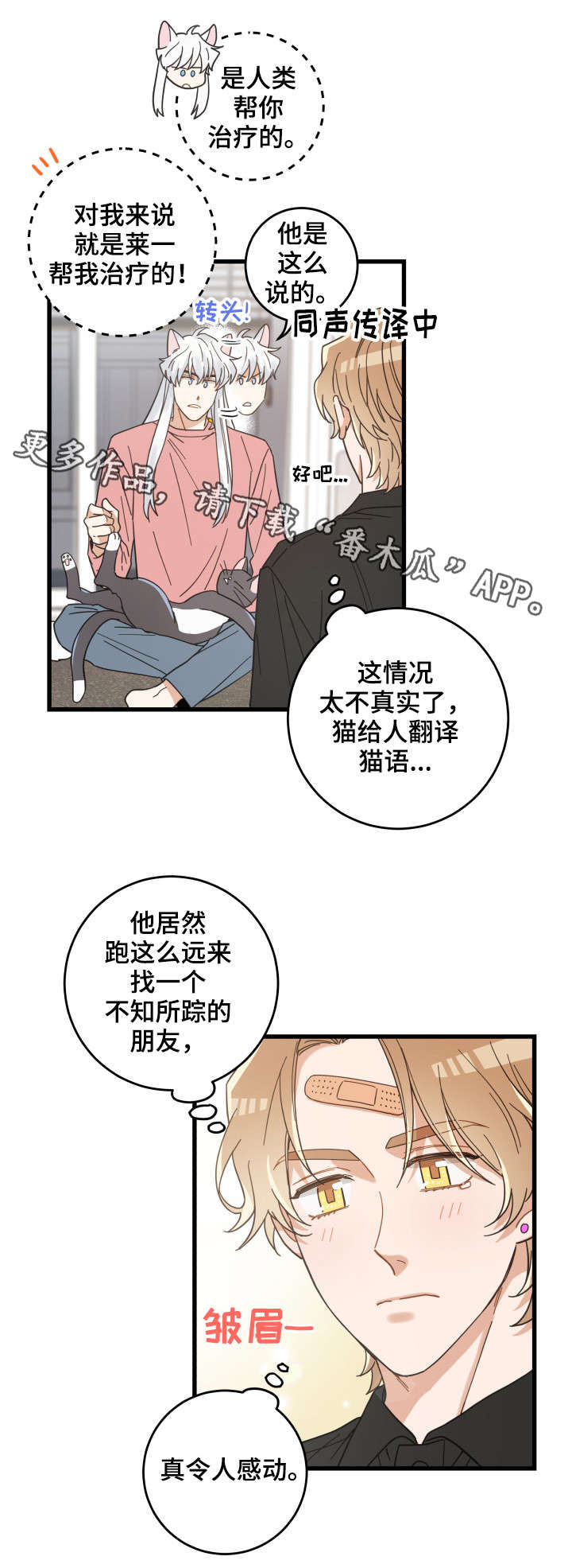 亲爱的喵君漫画,第37章：试探3图