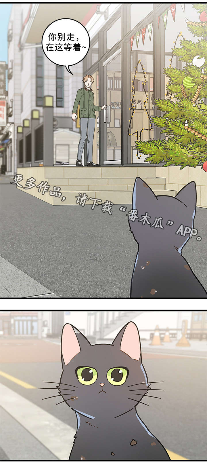 亲爱的喵君漫画,第31章：黑猫2图
