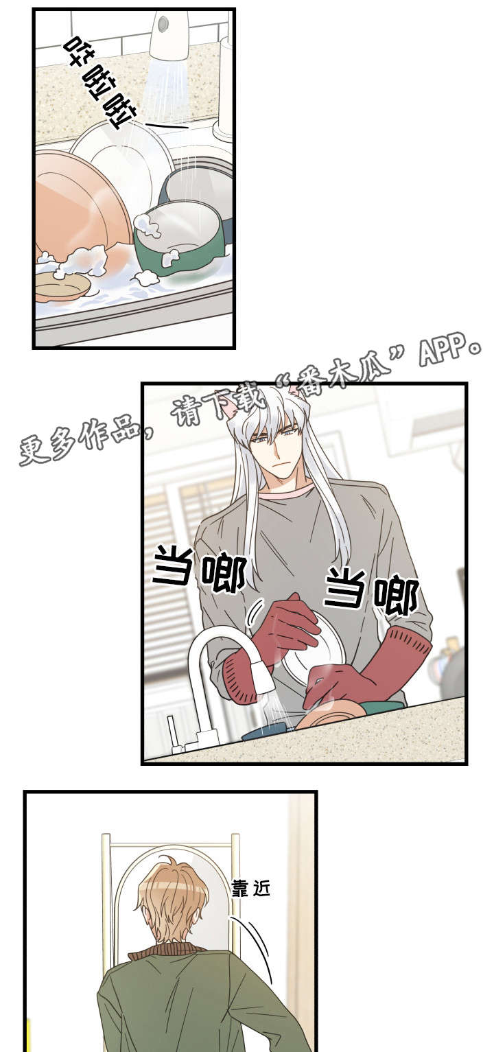 亲爱的喵君漫画,第30章：最好的礼物3图