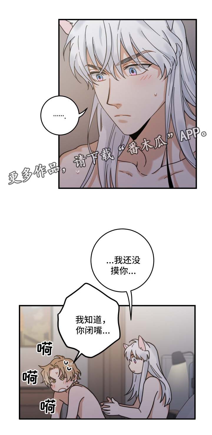 亲爱的喵君漫画,第50章：肌肤相亲3图