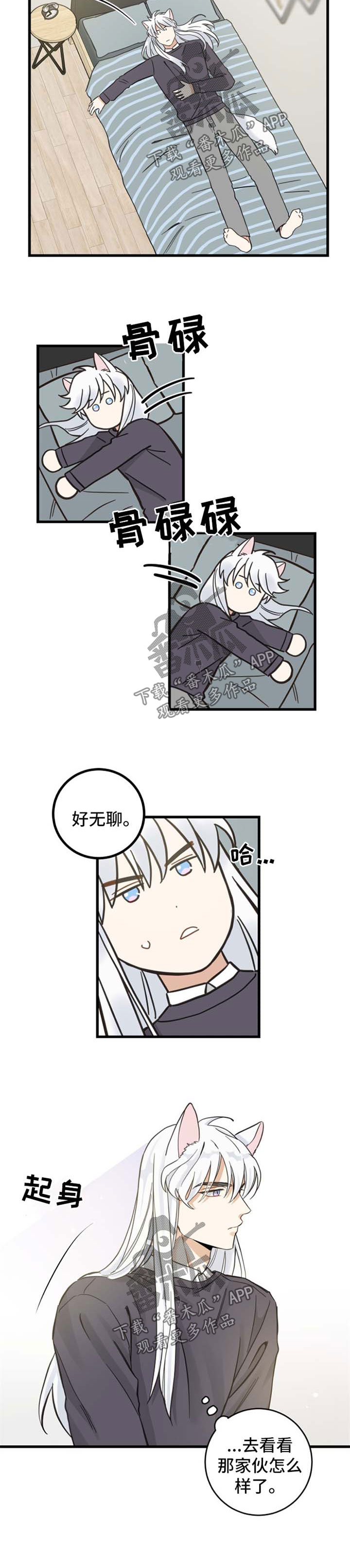 亲爱的喵君漫画,第79章：串门2图