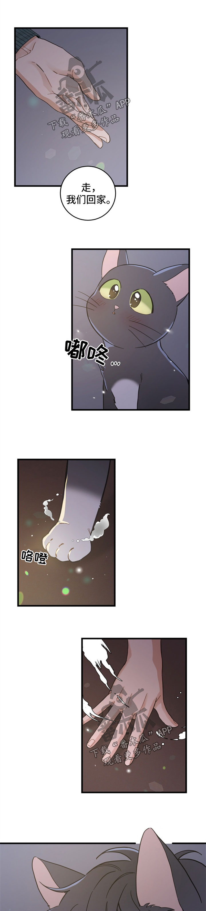 亲爱的喵君漫画,第84章：变人1图