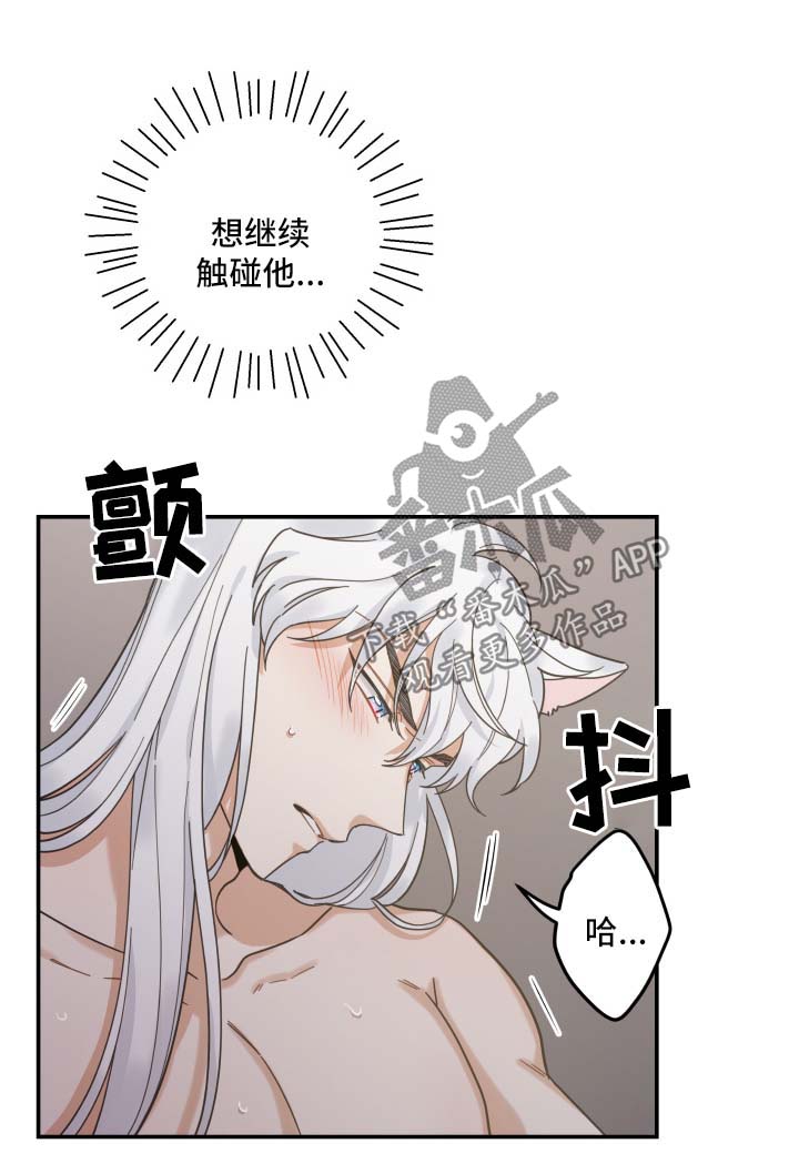 亲爱的喵君漫画,第50章：肌肤相亲1图
