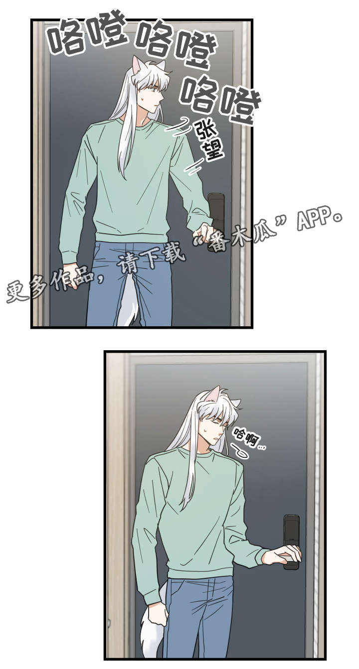 亲爱的喵君漫画,第43章：叔叔4图