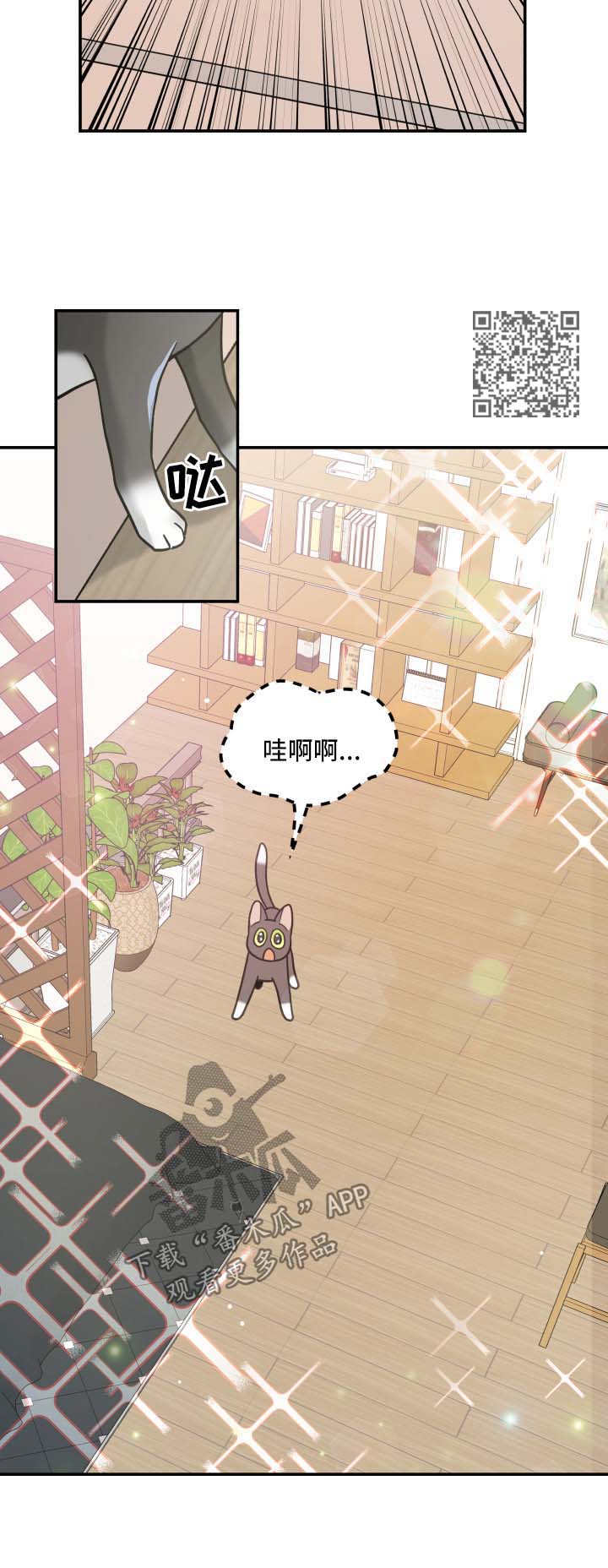 亲爱的喵君漫画,第44章：快乐生活4图