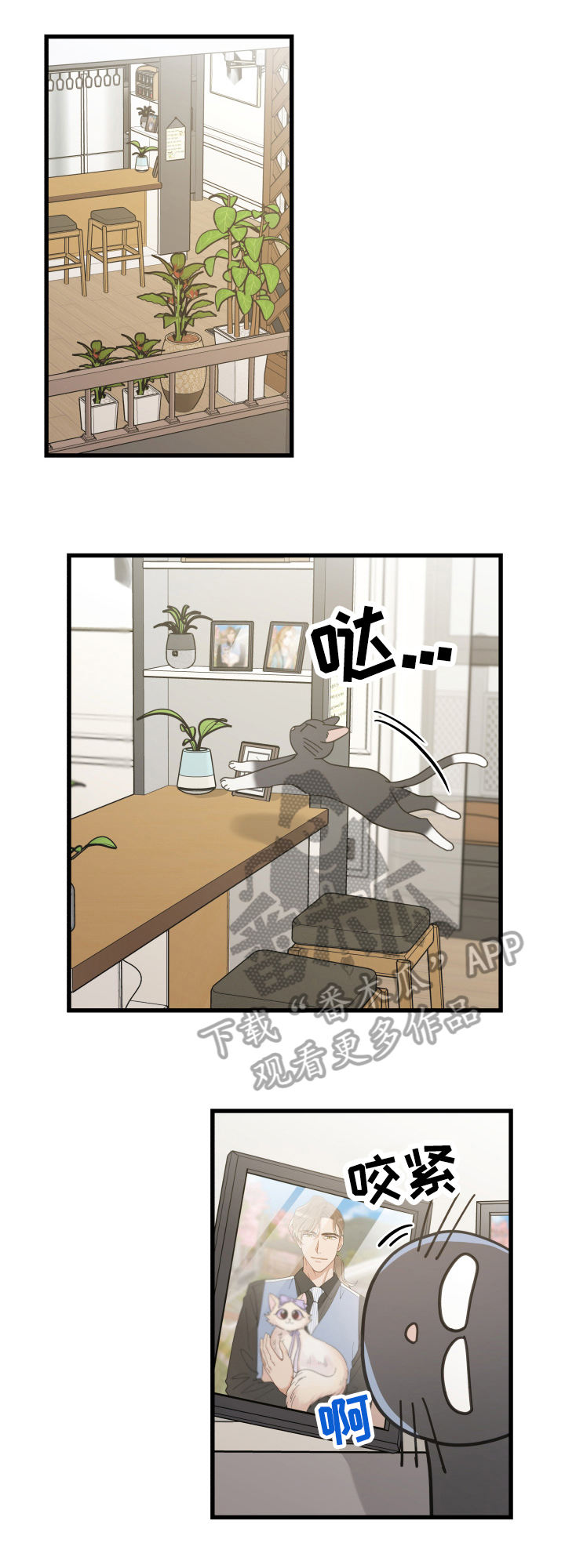 亲爱的喵君漫画,第57章：引出1图
