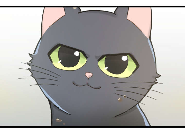 亲爱的喵君漫画,第31章：黑猫3图