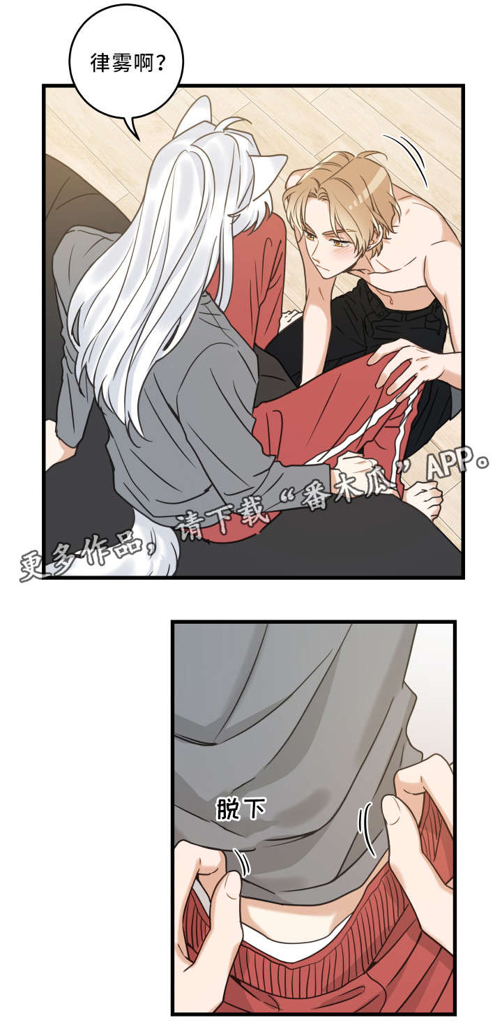 亲爱的喵君漫画,第25章：分享爱2图