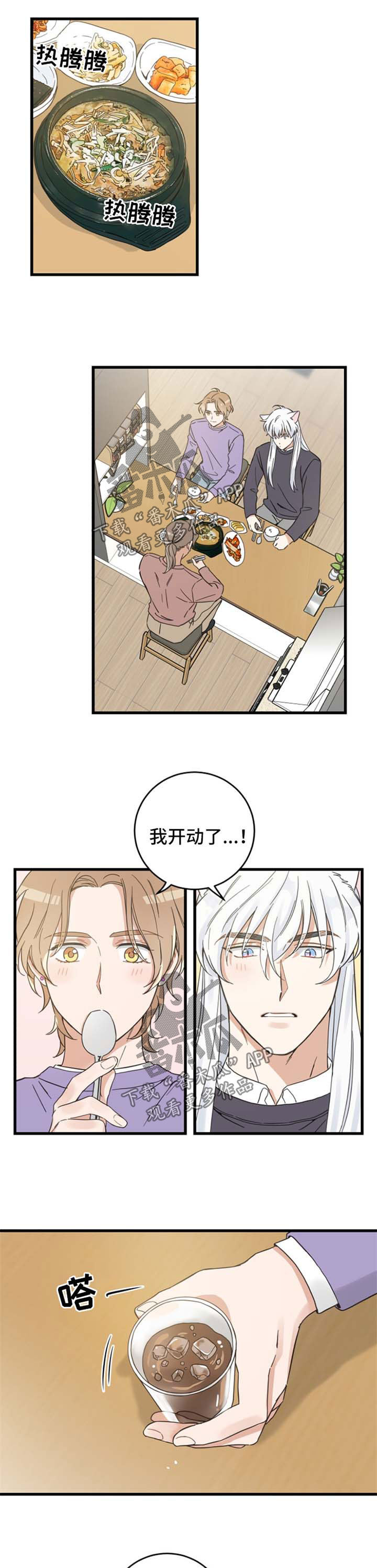 亲爱的喵君漫画,第80章：宠物心得1图