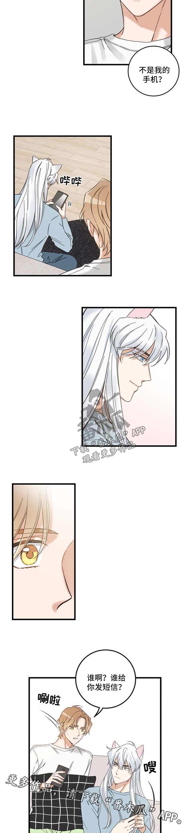 亲爱的喵君漫画,第97章：短信1图