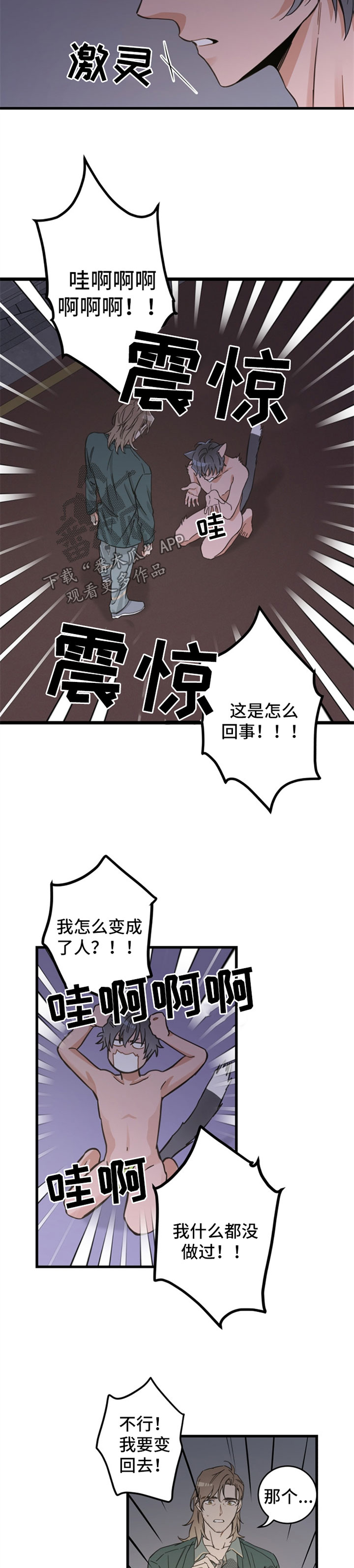 亲爱的喵君漫画,第84章：变人4图