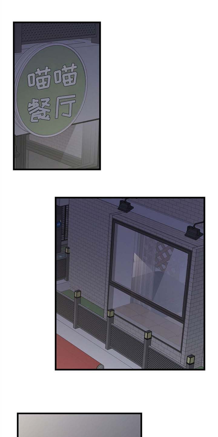 亲爱的喵君漫画,第83章：星星1图