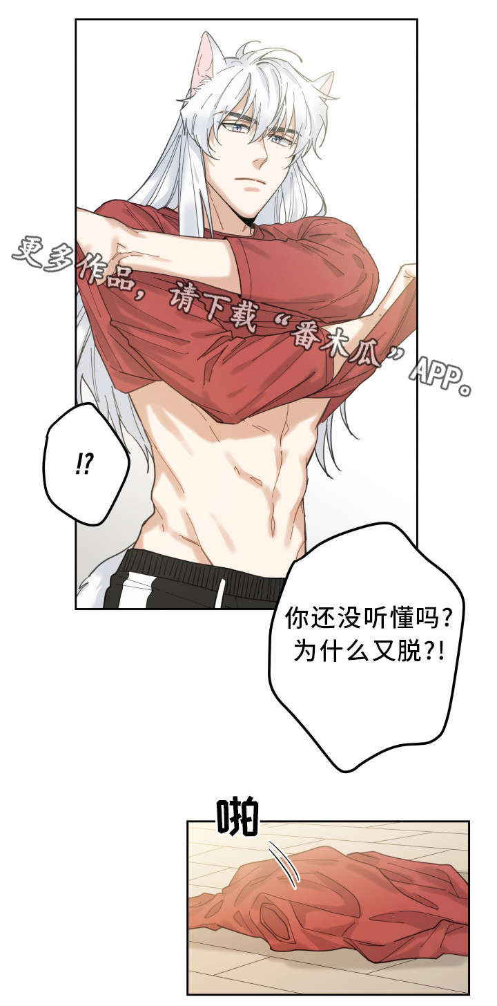 亲爱的喵君漫画,第8章：又变回去了1图