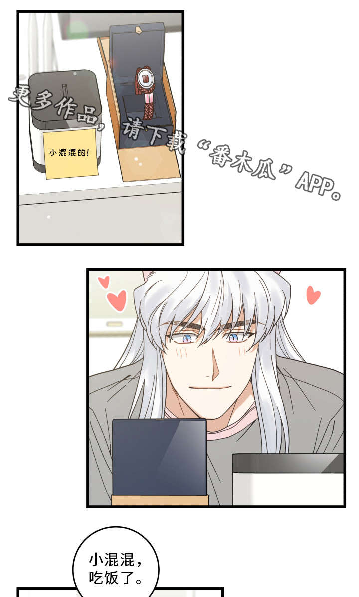 亲爱的喵君漫画,第30章：最好的礼物1图