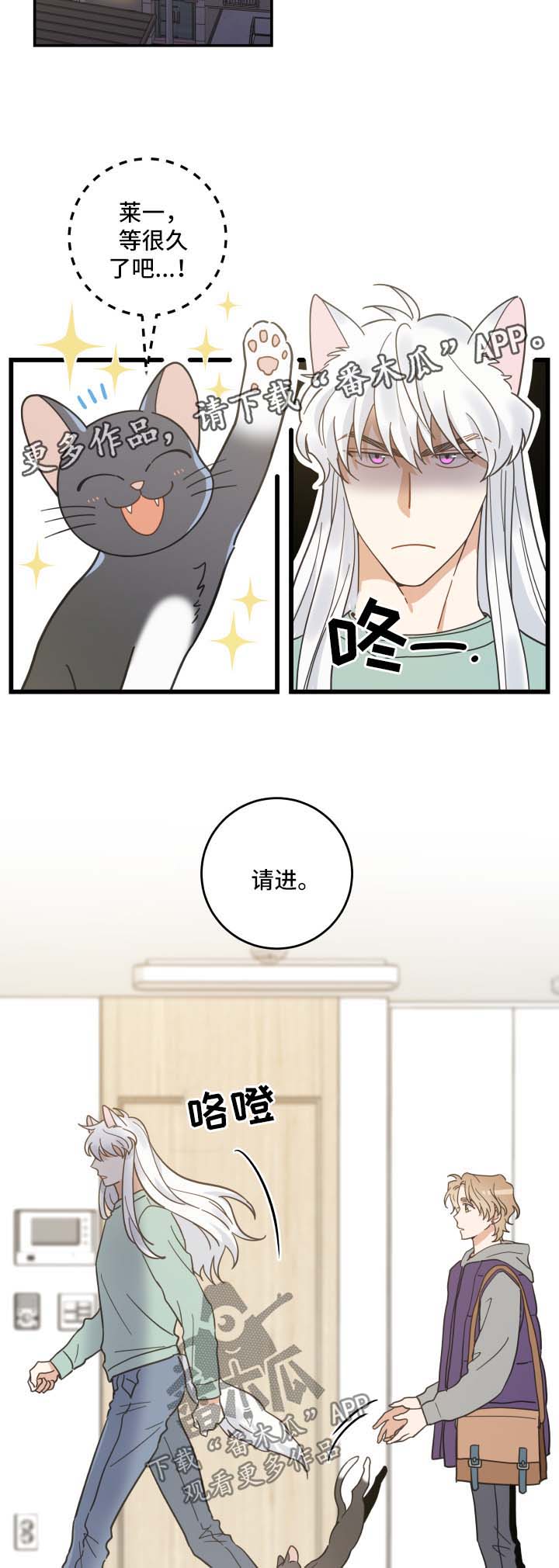 亲爱的喵君漫画,第44章：快乐生活5图