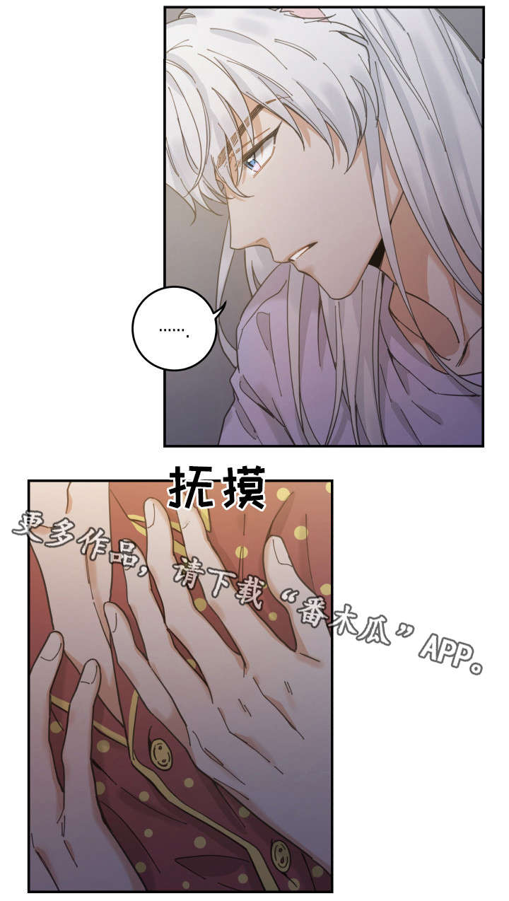 亲爱的喵君漫画,第12章：无事发生1图