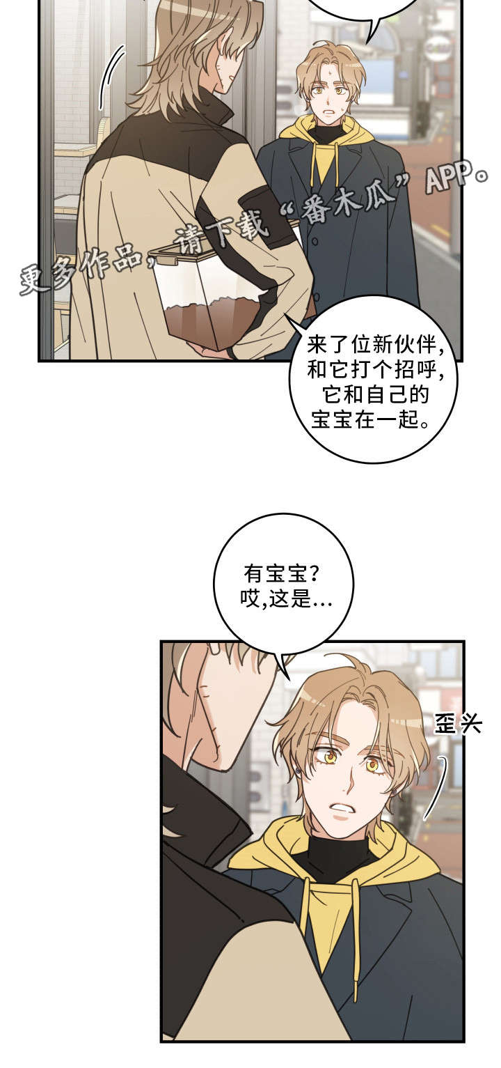 亲爱的喵君漫画,第23章：再遇2图